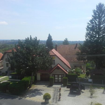 Friends Villa Apartments Хевиз Экстерьер фото
