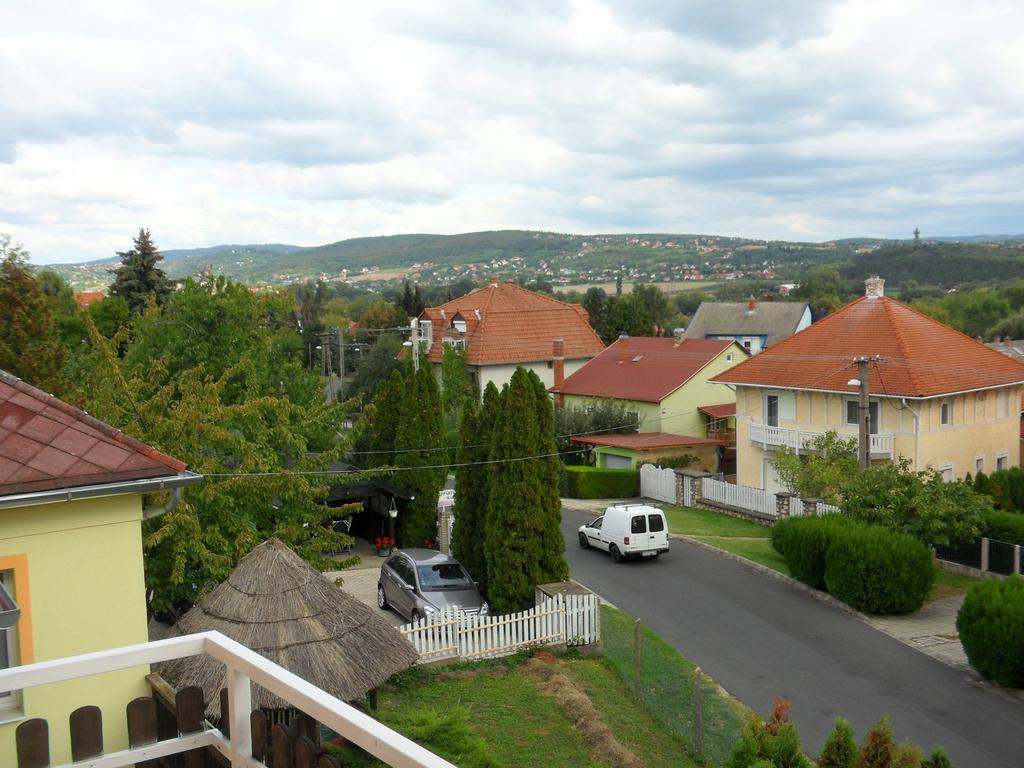 Friends Villa Apartments Хевиз Экстерьер фото