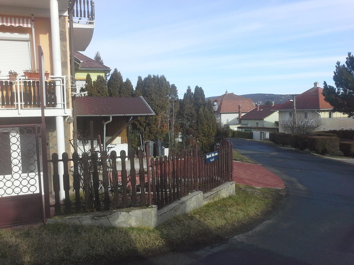 Friends Villa Apartments Хевиз Экстерьер фото